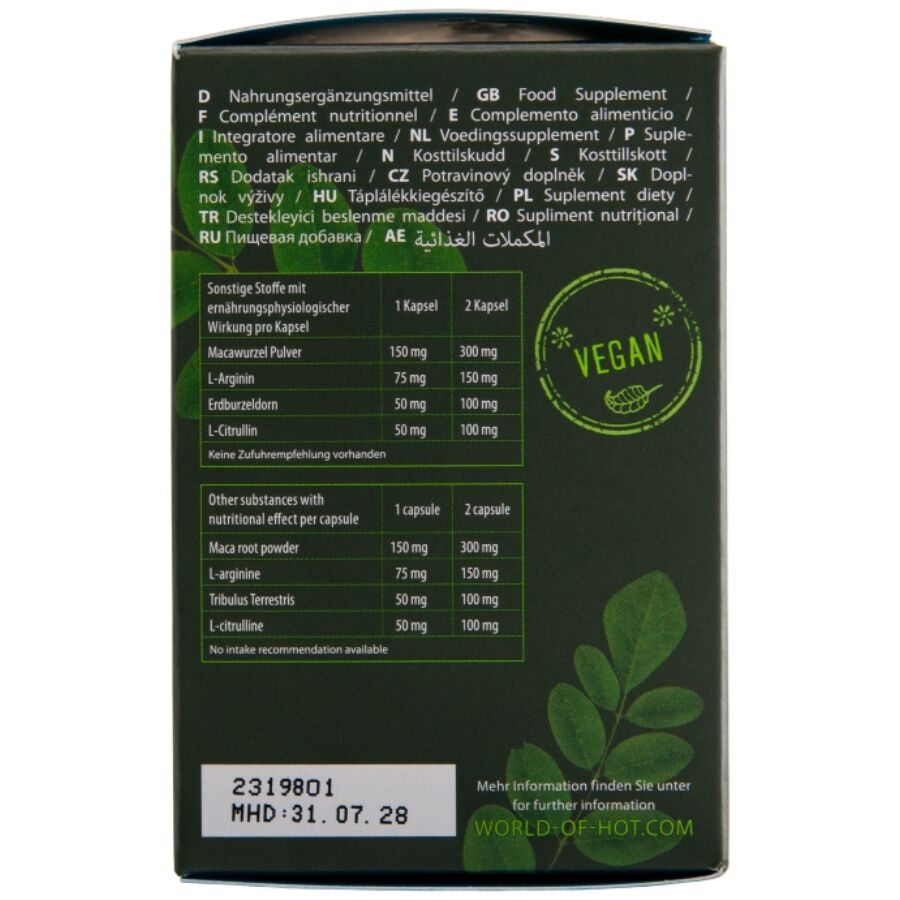 HOT - MORINGA BONÉS PARA HOMENS 60 UNIDADES