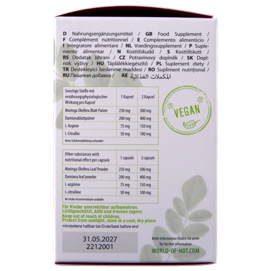 HOT - MORINGA BONÉS DE FEMININOS 60 UNIDADES