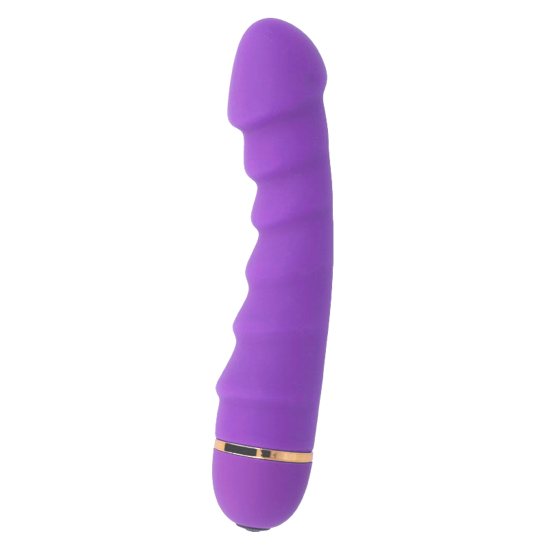 INTENSE - SALLY 20 VELOCIDADES SILICONE LILAC - Image 4